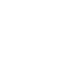 ce logo Ludlow